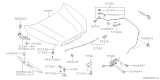 Diagram for Subaru Hood Hinge - 57260SJ0109P