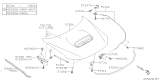 Diagram for Subaru Hood - 57229SC0019P