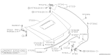 Diagram for Subaru Hood Hinge - 57260FC030