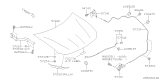 Diagram for 2014 Subaru BRZ Lift Support - 57251CA000
