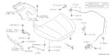 Diagram for Subaru Forester Hood Hinge - 57260SG0009P