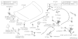 Diagram for Subaru Hood Hinge - 57260FL00A9P