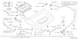 Diagram for Subaru Hood Hinge - 57260VA0009P