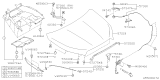 Diagram for Subaru Hood Hinge - 57260AL01A9P