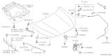 Diagram for Subaru Hood Hinge - 57260AN00A9P