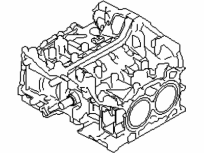 Subaru 10103AC300 Short Block Engine Assembly