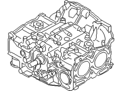 Subaru 10103AB120 PT070206 Short Block ENGI